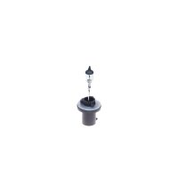 BOSCH 1 987 302 024 Glühlampe, Nebelscheinwerfer