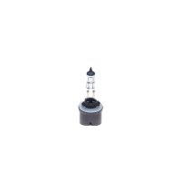BOSCH 1 987 302 024 Glühlampe, Nebelscheinwerfer