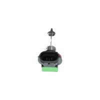 BOSCH 1 987 302 085 Glühlampe, Fernscheinwerfer