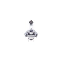 BOSCH 1 987 302 104 Glühlampe, Hauptscheinwerfer