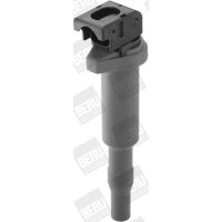 BorgWarner (BERU) ZSE144 Zündspule