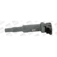 BorgWarner (BERU) ZSE145 Zündspule