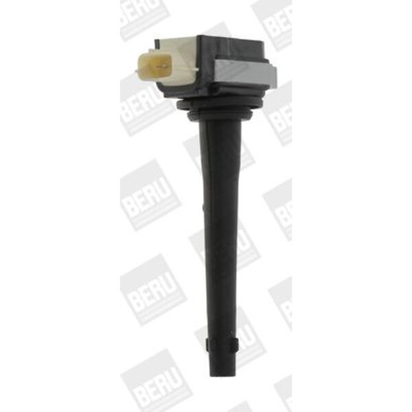 BorgWarner (BERU) ZSE161 Zündspule