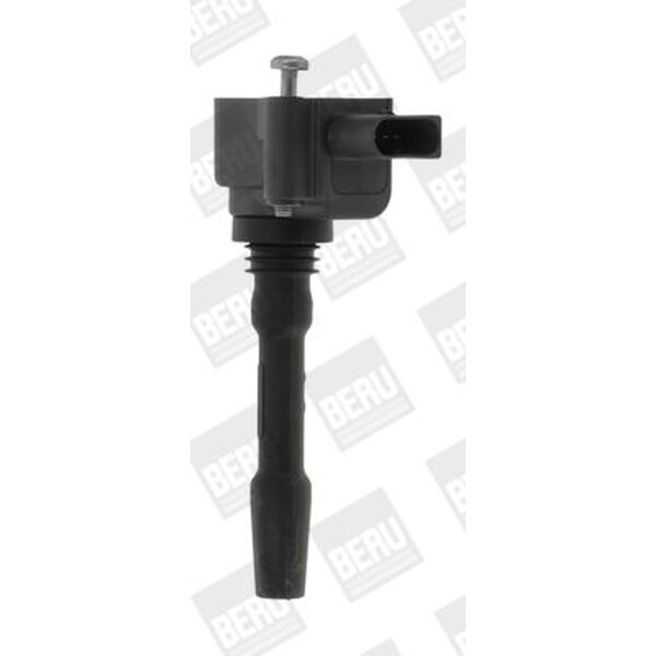 BorgWarner (BERU) ZSE163 Zündspule