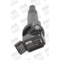 BorgWarner (BERU) ZSE164 Zündspule