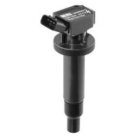 BorgWarner (BERU) ZSE164 Zündspule