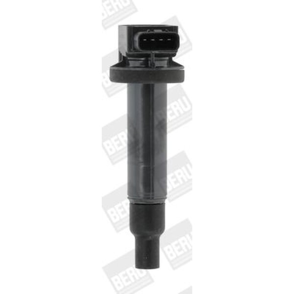 BorgWarner (BERU) ZSE165 Zündspule
