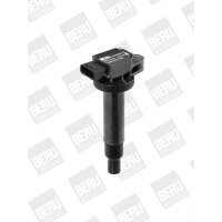 BorgWarner (BERU) ZSE165 Zündspule