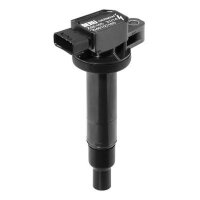BorgWarner (BERU) ZSE165 Zündspule