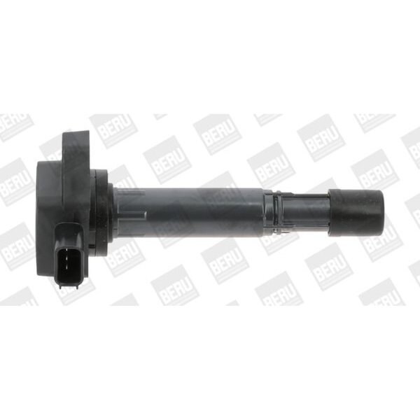 BorgWarner (BERU) ZSE170 Zündspule