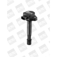 BorgWarner (BERU) ZSE170 Zündspule