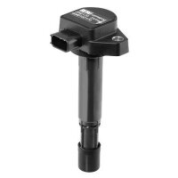 BorgWarner (BERU) ZSE170 Zündspule