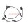ASHIKA 151-02-278 Sensor, Raddrehzahl