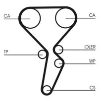 CONTINENTAL CTAM CT1179WP4 Wasserpumpe + Zahnriemensatz