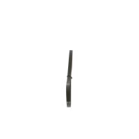 BOSCH 1 987 947 571 Keilrippenriemen
