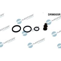 Dr.Motor Automotive DRM005R Reparatursatz,...