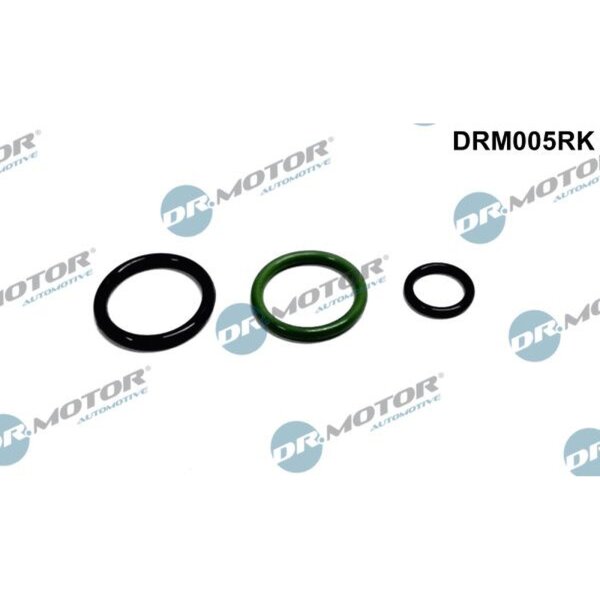 Dr.Motor Automotive DRM005RK Reparatursatz, Pumpe-Düse-Einheit