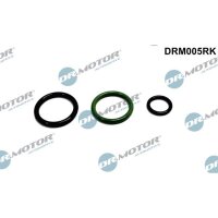 Dr.Motor Automotive DRM005RK Reparatursatz,...