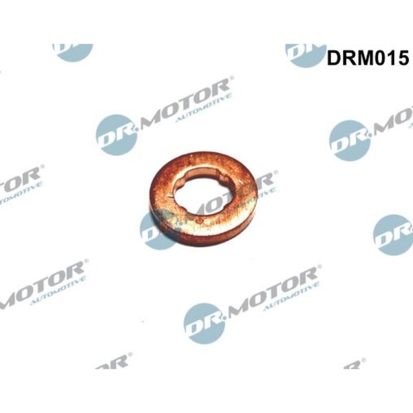 Dr.Motor Automotive DRM015 Wärmeschutzscheibe, Einspritzanlage