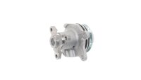 SKF VKPC 86132 Wasserpumpe, Motorkühlung