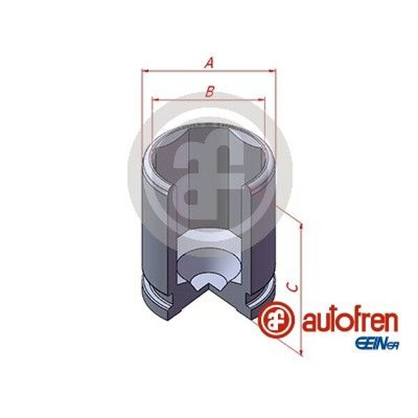 AUTOFREN SEINSA D025543 Kolben, Bremssattel