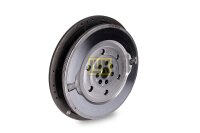 Schaeffler LuK 415 0733 10 Schwungrad