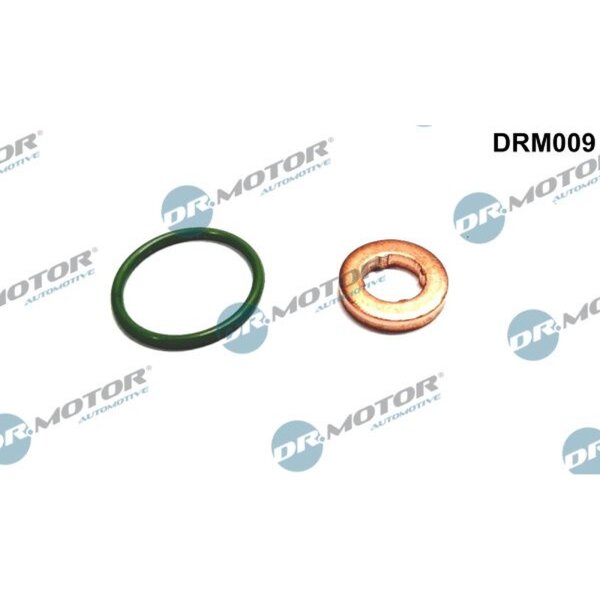 Dr.Motor Automotive DRM009 Dichtungssatz, Einspritzdüse