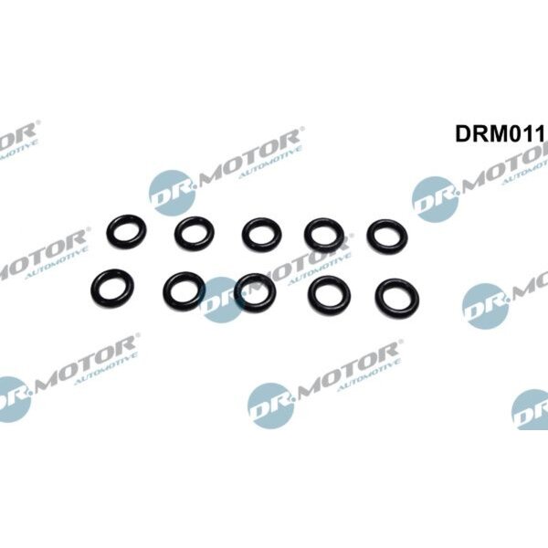 Dr.Motor Automotive DRM011 Dichtring, Düsenhalter