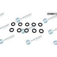 Dr.Motor Automotive DRM011 Dichtring, Düsenhalter