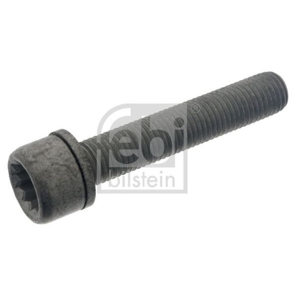 FEBI BILSTEIN 48817 Schraube, Bremssattel