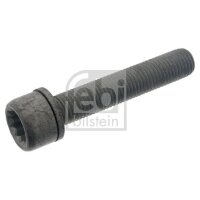 FEBI BILSTEIN 48817 Schraube, Bremssattel