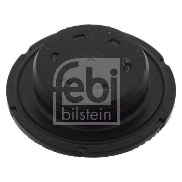 FEBI BILSTEIN 49353 Froststopfen