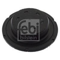 FEBI BILSTEIN 49353 Froststopfen