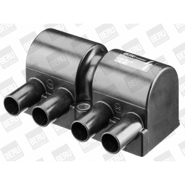 BorgWarner (BERU) ZSE025 Zündspule