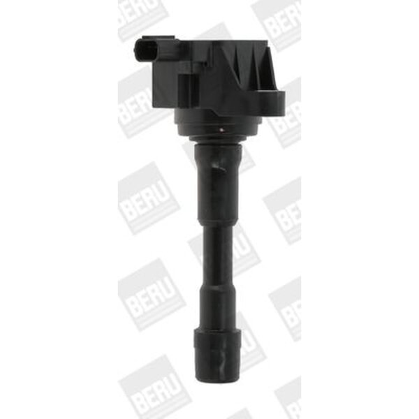 BorgWarner (BERU) ZSE176 Zündspule