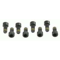 SACHS 1874 000 006 Schraubensatz, Schwungrad