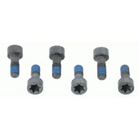 SACHS 1874 000 041 Schraubensatz, Schwungrad