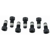 SACHS 1874 000 043 Schraubensatz, Schwungrad