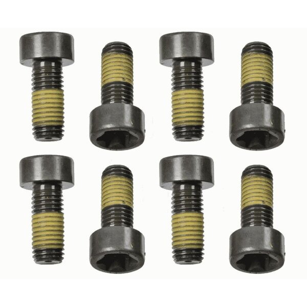 SACHS 1874 000 058 Schraubensatz, Schwungrad