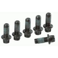 SACHS 1874 000 065 Schraubensatz, Schwungrad