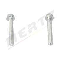 MERTZ M-S0187 Reparatursatz, Querlenker