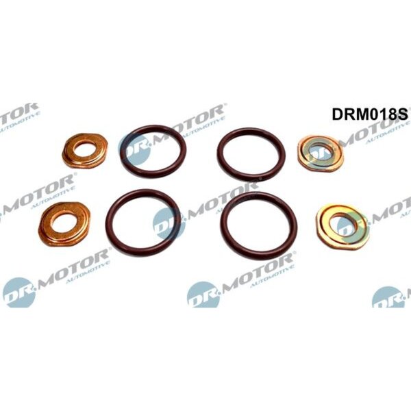 Dr.Motor Automotive DRM018S Dichtungssatz, Einspritzdüse