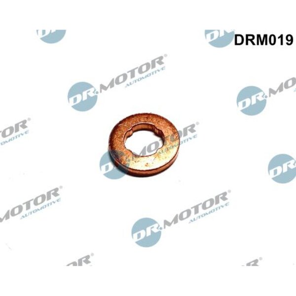 Dr.Motor Automotive DRM019 Wärmeschutzscheibe, Einspritzanlage