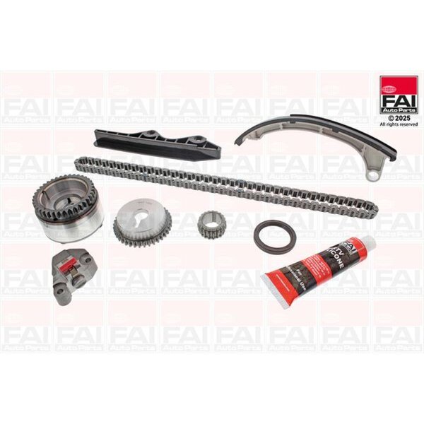 FAI AutoParts TCK46VVT Steuerkettensatz