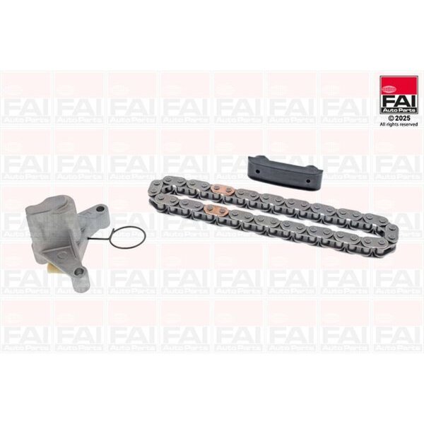 FAI AutoParts TCK99NG Steuerkettensatz