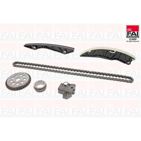 FAI AutoParts TCK203NG Steuerkettensatz