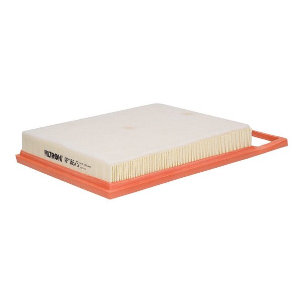 FILTRON AP 183/5 Luftfilter