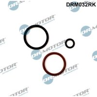 Dr.Motor Automotive DRM032RK Reparatursatz,...