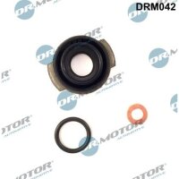 Dr.Motor Automotive DRM042 Dichtungssatz, Einspritzdüse