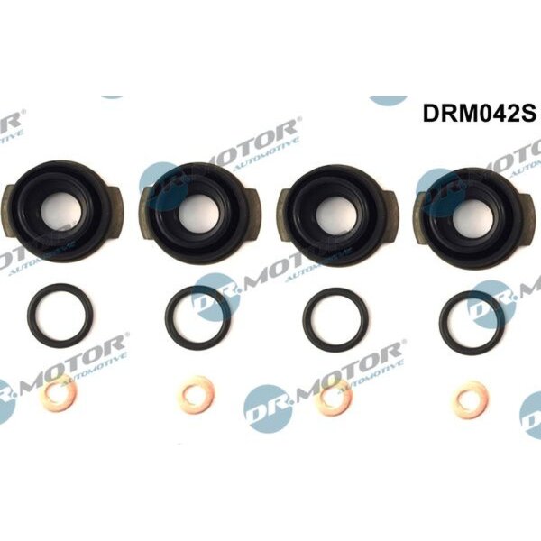 Dr.Motor Automotive DRM042S Dichtungssatz, Einspritzdüse